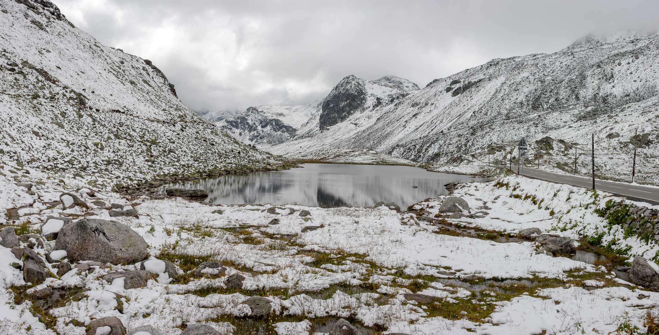 Flüela-Pass mit erstem Schnee und Schafherde